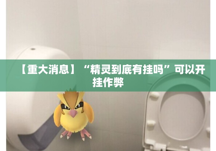 【重大消息】“精灵到底有挂吗”可以开挂作弊