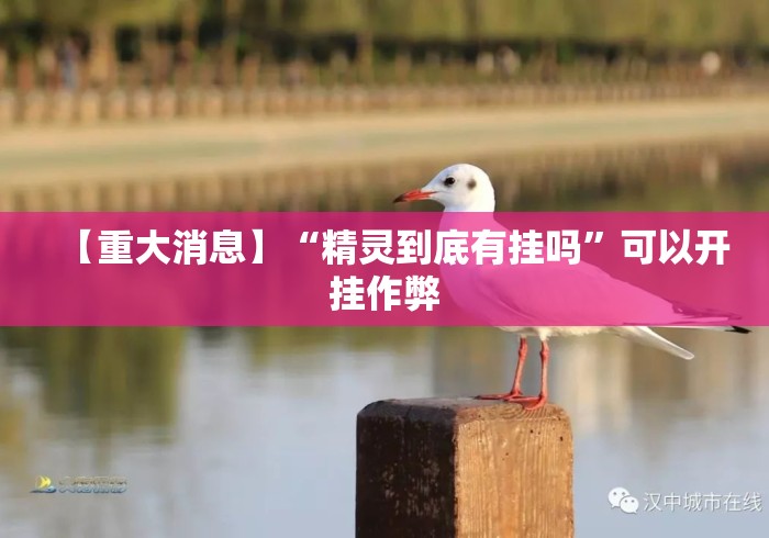 【重大消息】“精灵到底有挂吗	”可以开挂作弊