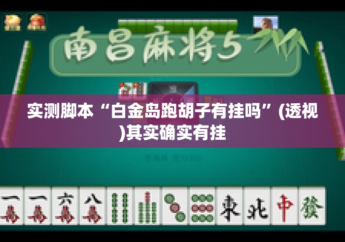 实测脚本“白金岛跑胡子有挂吗”(透视)其实确实有挂