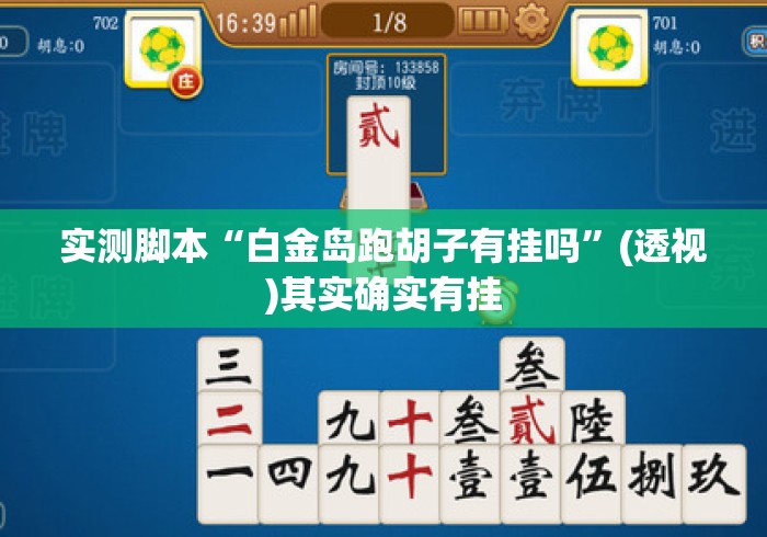 实测脚本“白金岛跑胡子有挂吗”(透视)其实确实有挂