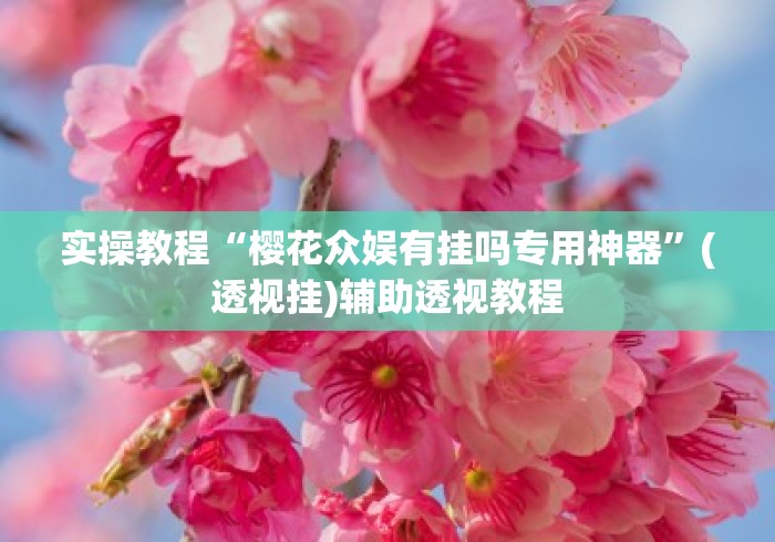 实操教程“樱花众娱有挂吗专用神器”(透视挂)辅助透视教程