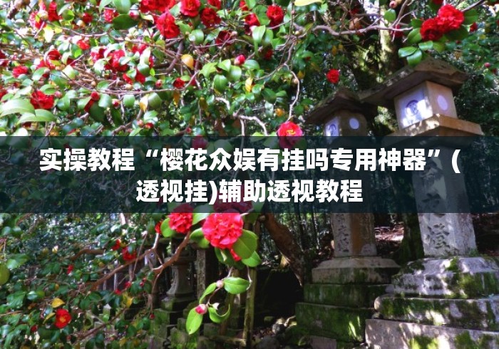 实操教程“樱花众娱有挂吗专用神器”(透视挂)辅助透视教程