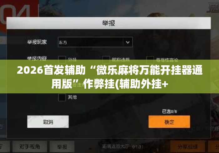 2026首发辅助“微乐麻将万能开挂器通用版”作弊挂(辅助外挂+