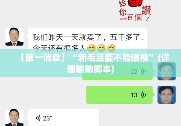 【第一消息】“新毛豆能不能透视”(详细辅助脚本)