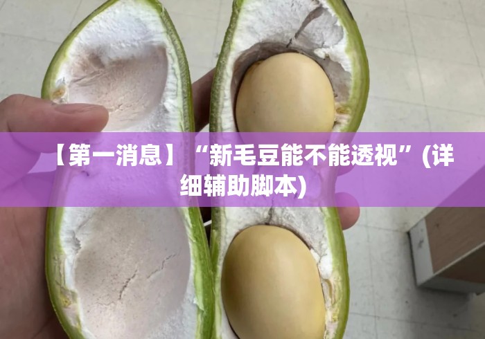 【第一消息】“新毛豆能不能透视	”(详细辅助脚本)