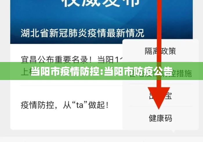 当阳市疫情防控:当阳市防疫公告 当阳市疫情防控:当阳市防疫公告