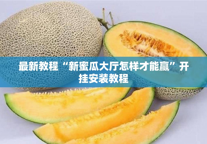 最新教程“新蜜瓜大厅怎样才能赢”开挂安装教程