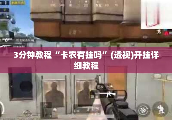 3分钟教程“卡农有挂吗”(透视)开挂详细教程