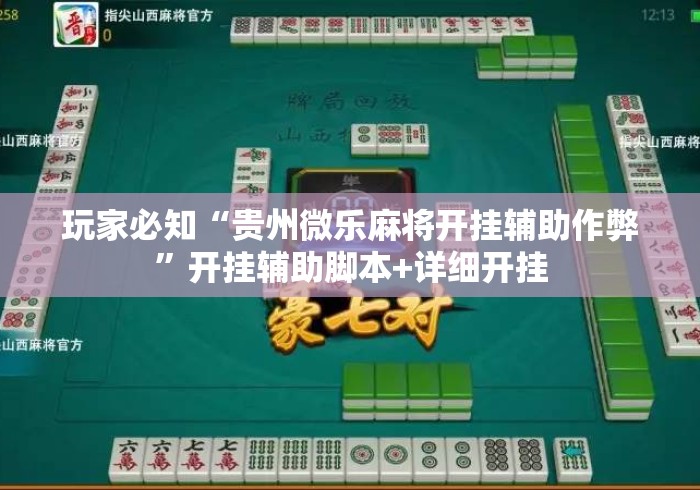 玩家必知“贵州微乐麻将开挂辅助作弊	”开挂辅助脚本+详细开挂