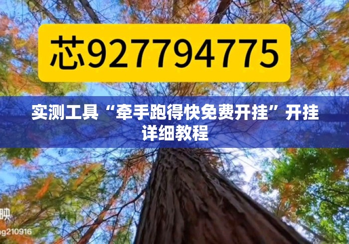 实测工具“牵手跑得快免费开挂”开挂详细教程