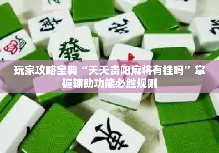 玩家攻略宝典“天天贵阳麻将有挂吗”掌握辅助功能必胜规则