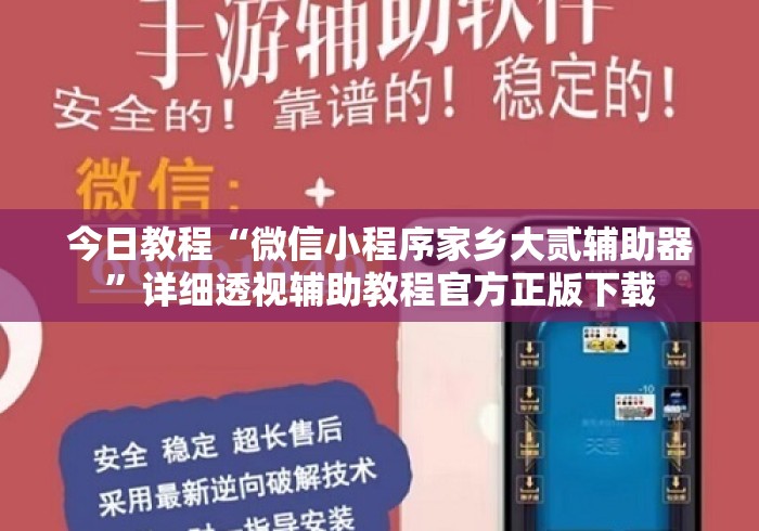 今日教程“微信小程序家乡大贰辅助器”详细透视辅助教程官方正版下载