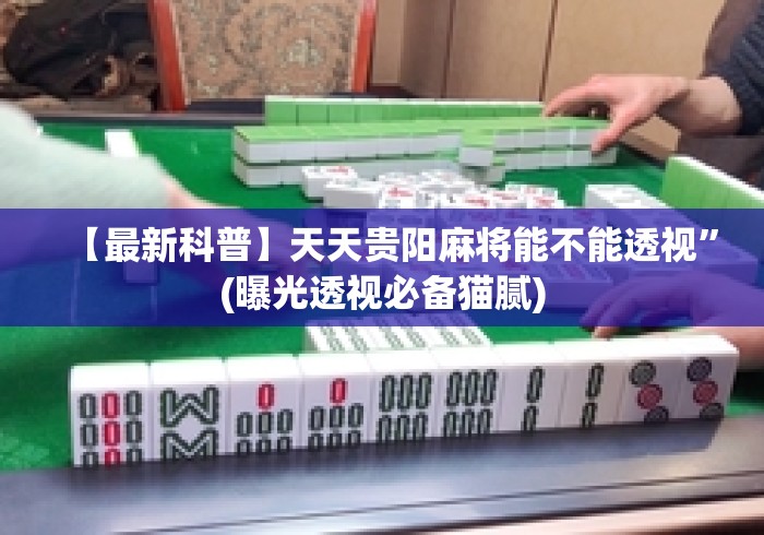 【最新科普】天天贵阳麻将能不能透视”(曝光透视必备猫腻)