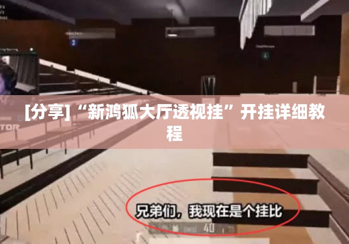 [分享]“新鸿狐大厅透视挂”开挂详细教程