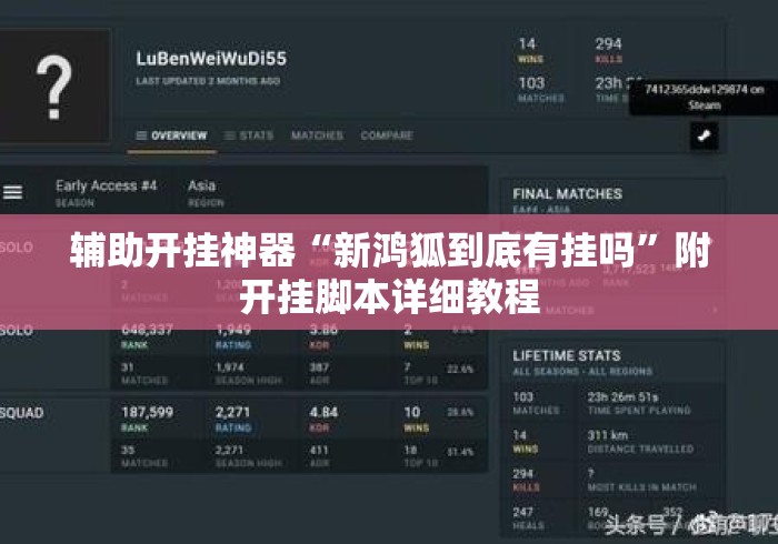 辅助开挂神器“新鸿狐到底有挂吗”附开挂脚本详细教程