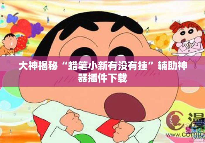 大神揭秘“蜡笔小新有没有挂	”辅助神器插件下载