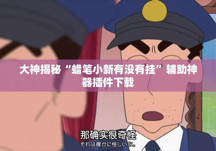 大神揭秘“蜡笔小新有没有挂”辅助神器插件下载