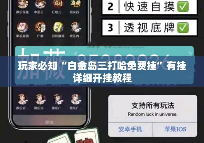 玩家必知“白金岛三打哈免费挂”有挂详细开挂教程