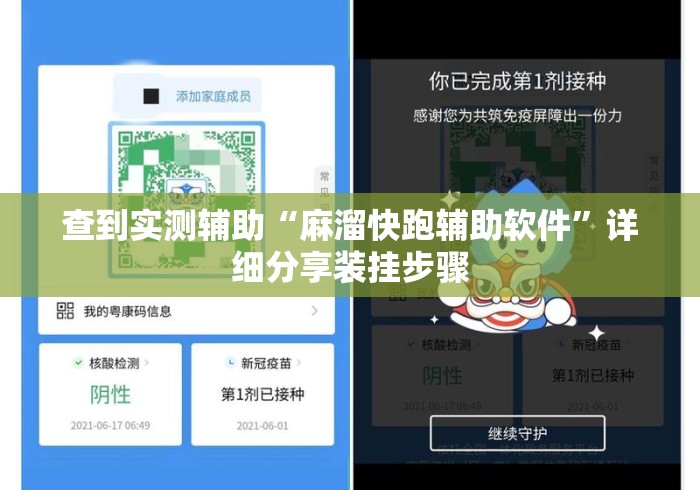 查到实测辅助“麻溜快跑辅助软件”详细分享装挂步骤
