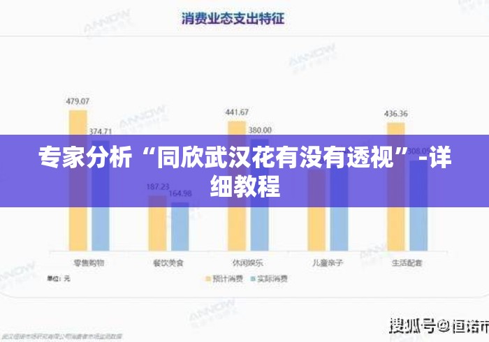 专家分析“同欣武汉花有没有透视”-详细教程