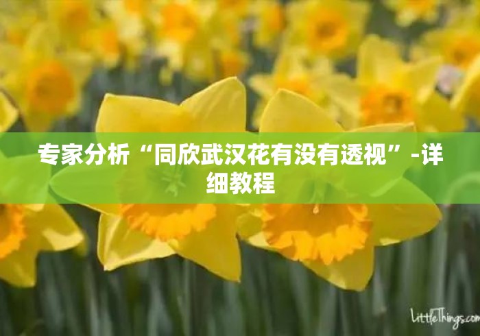 专家分析“同欣武汉花有没有透视	”-详细教程