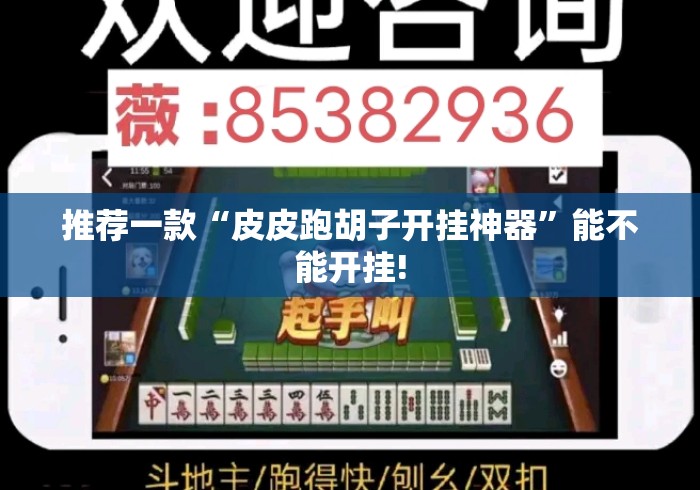 推荐一款“皮皮跑胡子开挂神器”能不能开挂!