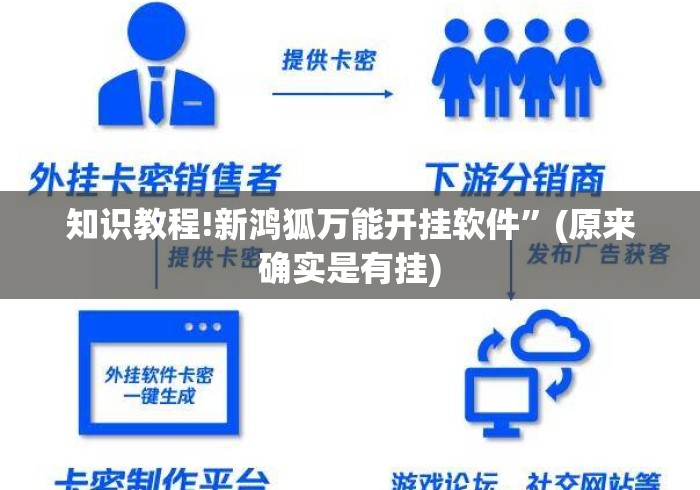 知识教程!新鸿狐万能开挂软件”(原来确实是有挂)