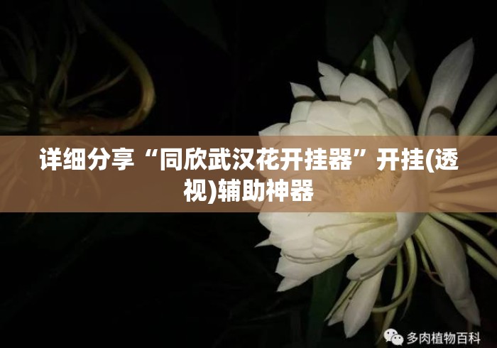 详细分享“同欣武汉花开挂器”开挂(透视)辅助神器