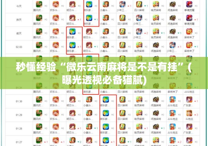 秒懂经验“微乐云南麻将是不是有挂”(曝光透视必备猫腻)