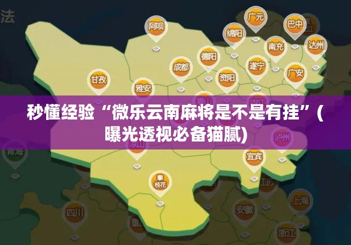 秒懂经验“微乐云南麻将是不是有挂”(曝光透视必备猫腻)