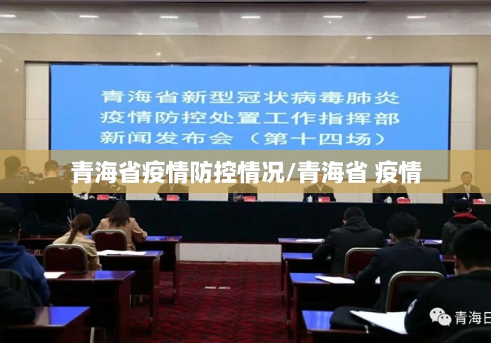 青海省疫情防控情况/青海省 疫情 青海省疫情防控情况/青海省 疫情