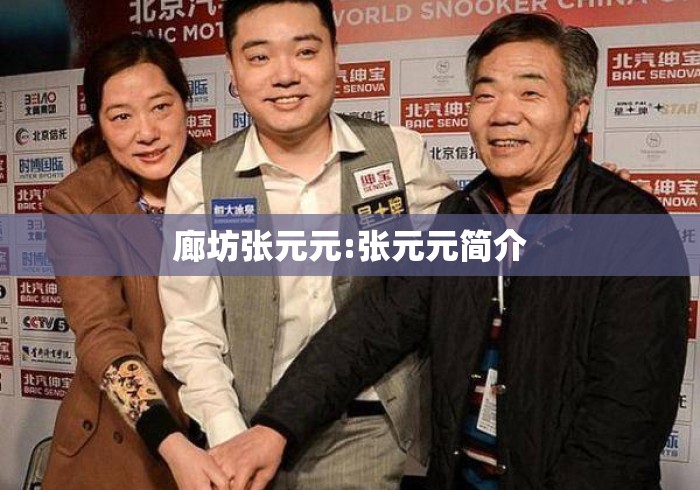 廊坊张元元:张元元简介