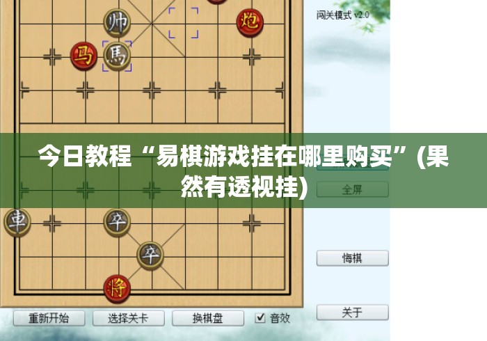 今日教程“易棋游戏挂在哪里购买	”(果然有透视挂)