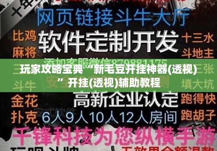 玩家攻略宝典“新毛豆开挂神器(透视)”开挂(透视)辅助教程