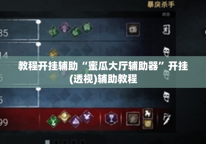 教程开挂辅助“蜜瓜大厅辅助器”开挂(透视)辅助教程