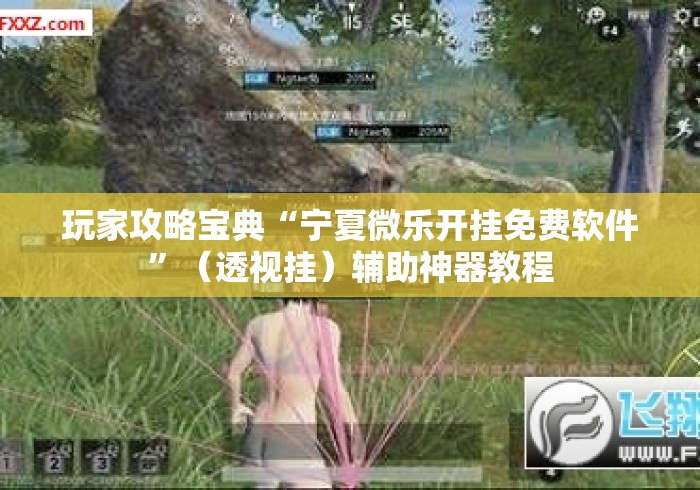 玩家攻略宝典“宁夏微乐开挂免费软件”（透视挂）辅助神器教程