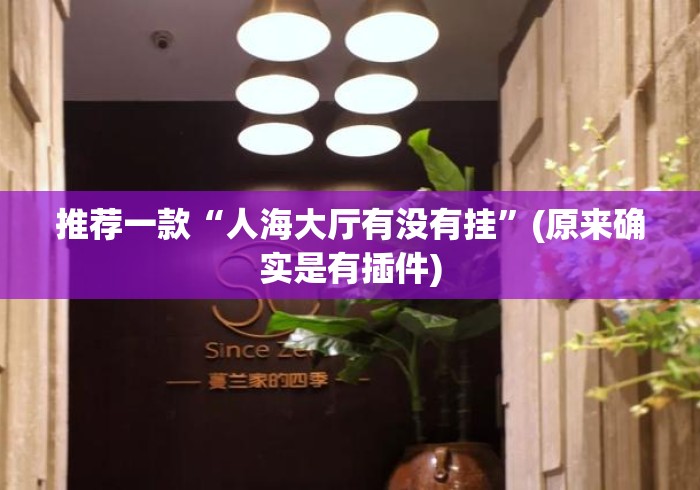 推荐一款“人海大厅有没有挂”(原来确实是有插件)