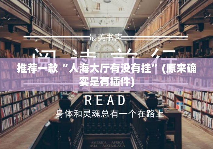 推荐一款“人海大厅有没有挂	”(原来确实是有插件)