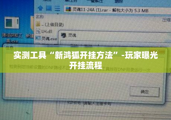 实测工具“新鸿狐开挂方法”-玩家曝光开挂流程