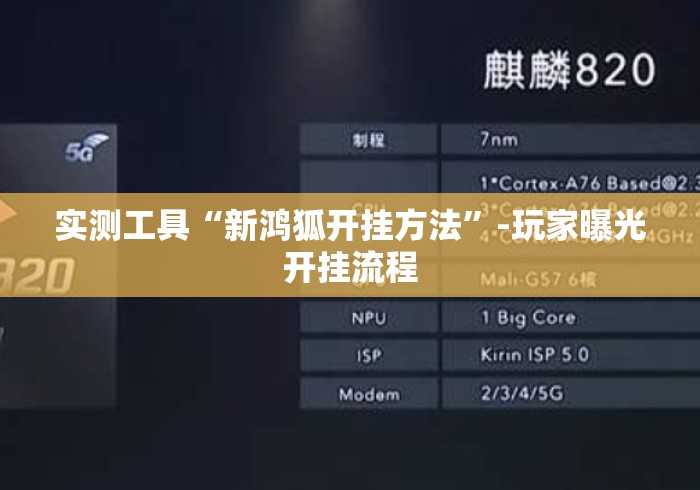 实测工具“新鸿狐开挂方法”-玩家曝光开挂流程