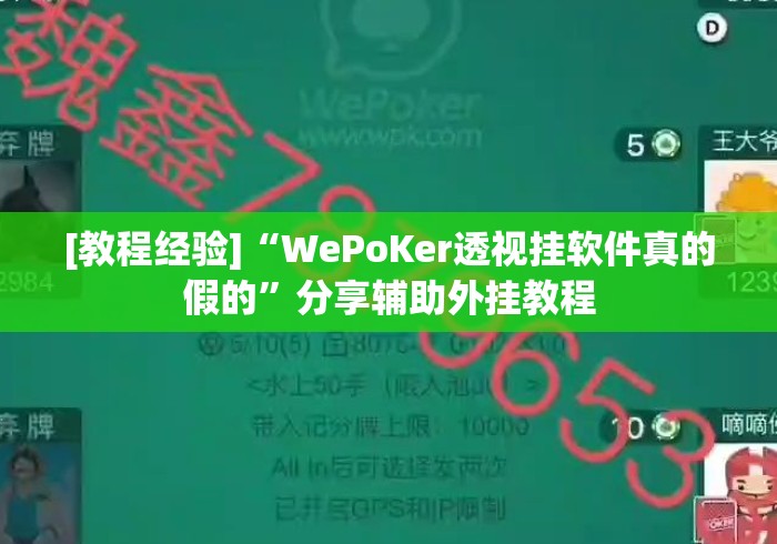 [教程经验]“WePoKer透视挂软件真的假的	”分享辅助外挂教程