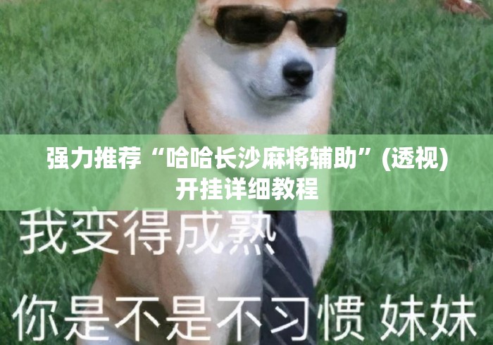 强力推荐“哈哈长沙麻将辅助”(透视)开挂详细教程