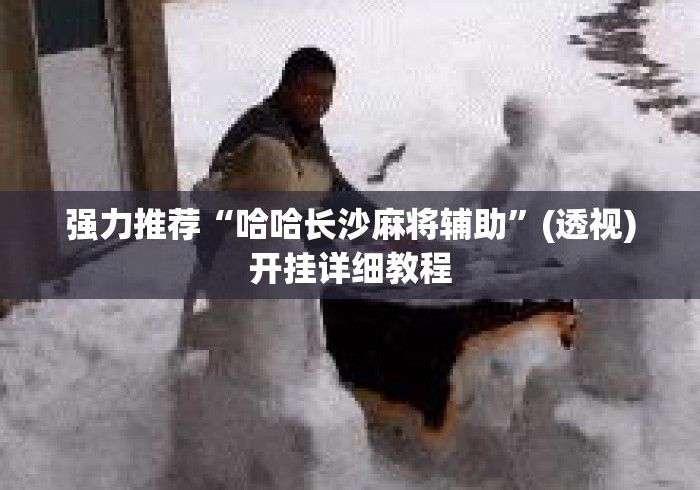 强力推荐“哈哈长沙麻将辅助”(透视)开挂详细教程