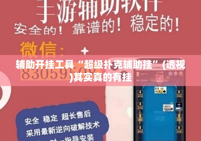 辅助开挂工具“超级扑克辅助挂”(透视)其实真的有挂