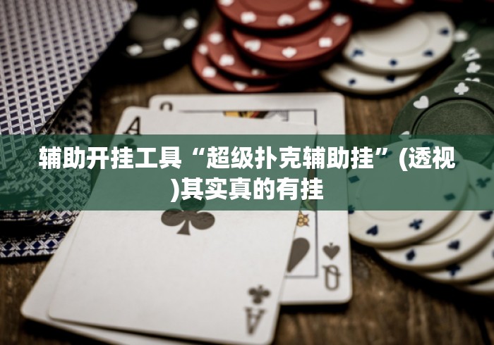 辅助开挂工具“超级扑克辅助挂”(透视)其实真的有挂