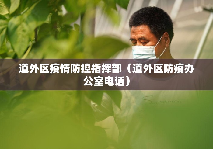 道外区疫情防控指挥部(道外区防疫办公室电话) 道外区疫情防控指挥部(道外区防疫办公室电话)