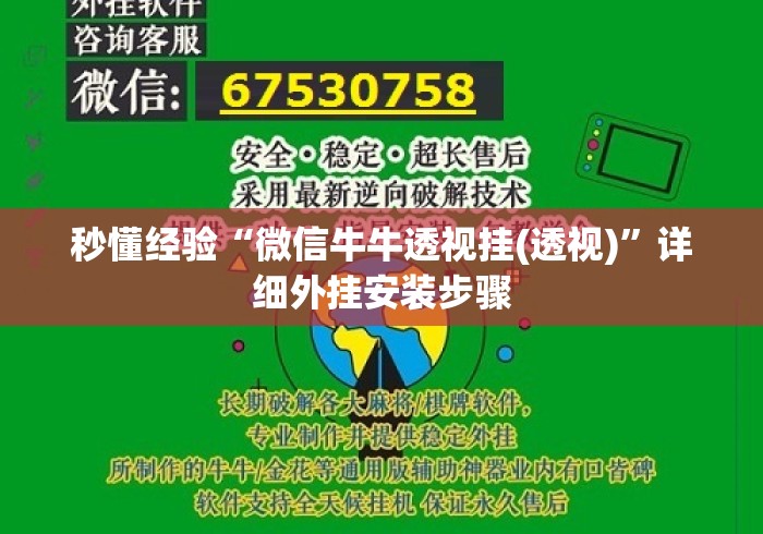 秒懂经验“微信牛牛透视挂(透视)”详细外挂安装步骤