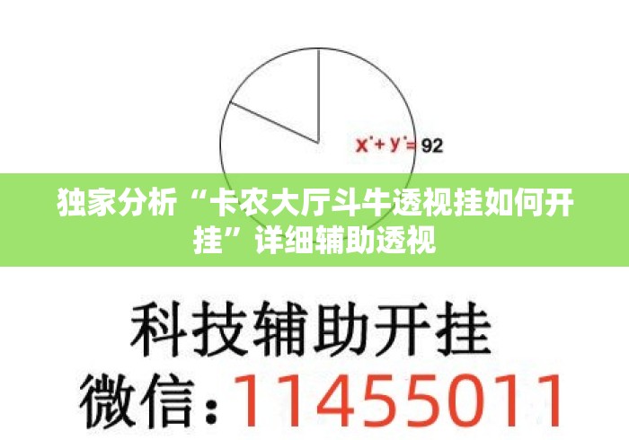 独家分析“卡农大厅斗牛透视挂如何开挂”详细辅助透视