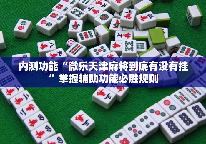 内测功能“微乐天津麻将到底有没有挂”掌握辅助功能必胜规则