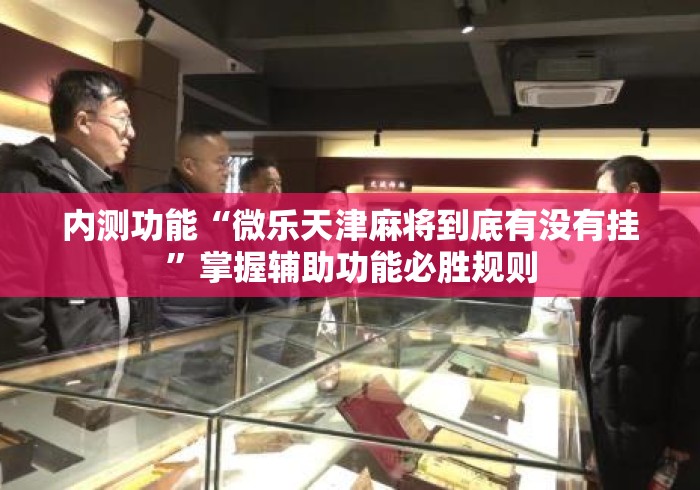 内测功能“微乐天津麻将到底有没有挂”掌握辅助功能必胜规则